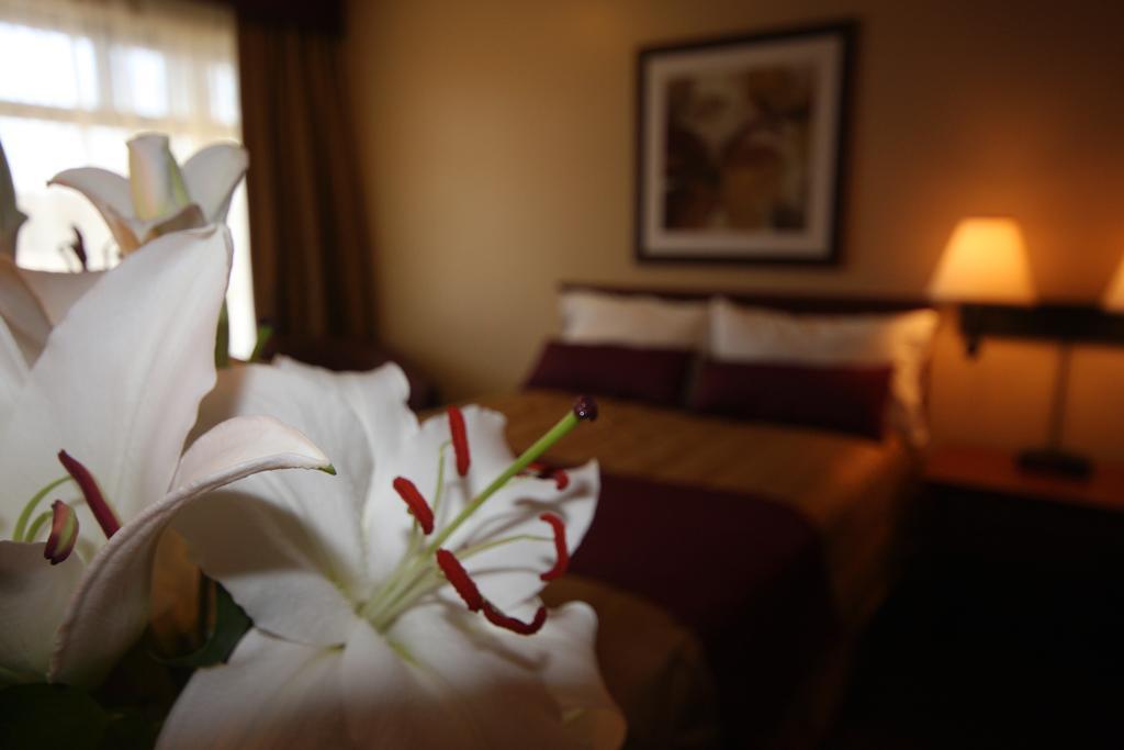 Motel Adam Gatineau Habitación foto